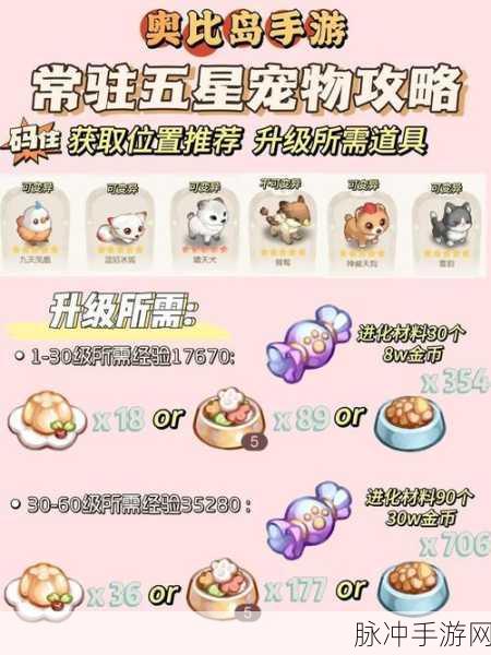 奥比岛梦想国度，全神秘成就达成方法深度解析