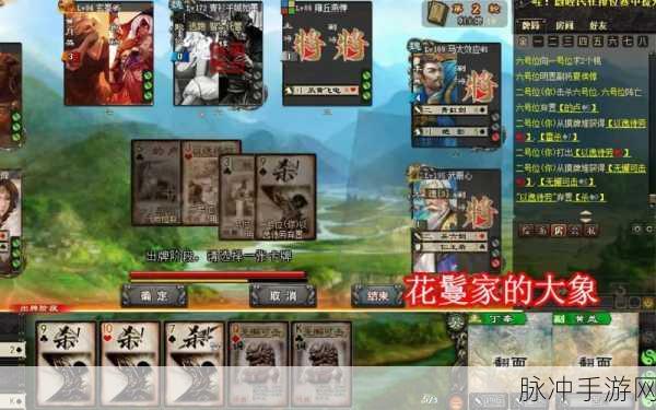 三国杀丁奉卡牌深度解析,设定与技能全揭秘