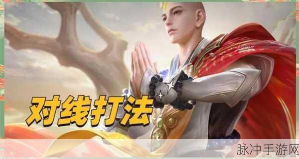 王者荣耀金蝉皮肤格子最新内容深度解析与攻略