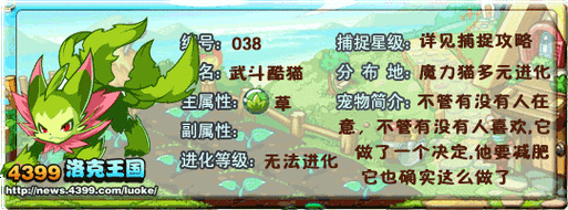洛克王国深度攻略，揭秘武斗酷猫进化成武斗灵猫的奥秘