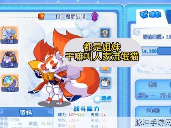 洛克王国深度攻略,揭秘武斗酷猫进化成武斗灵猫的奥秘