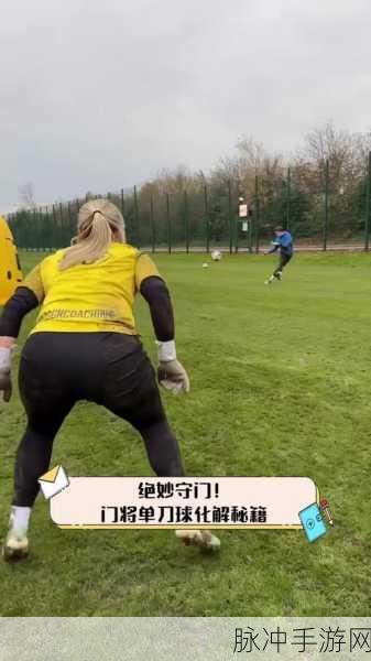 FIFA15单刀直入式操作技巧揭秘,精准射门与灵活控球全攻略