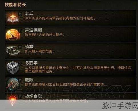 坦克世界技能深度解析，提升战斗效能的必备策略