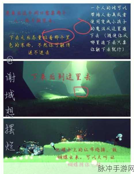 光遇雨林神庙探寻之旅,详尽位置分享与攻略解析
