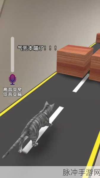 姐超有魅力,解锁魔性搞怪趣味闯关新体验