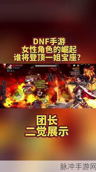DNF手游深度解析,团长职业定位与25仔争议探讨