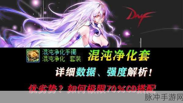 DNF手游深度解析,公会地下城净化率提升策略与问题全面探讨