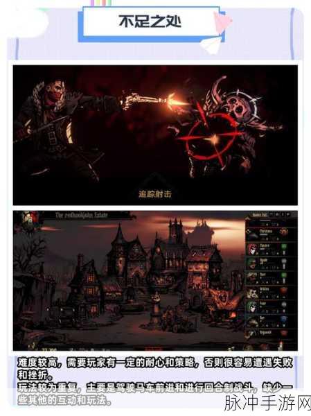 暗黑地牢2全面攻略,深度解析游戏技巧与玩法