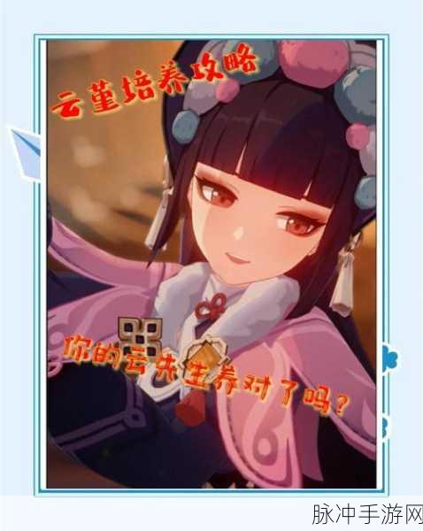 原神云堇增伤机制详解，如何计算与元素反应伤害加成关系