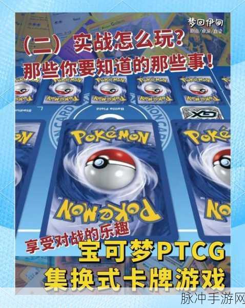 口袋妖怪，顺风围攻战术深度解析与实战指南