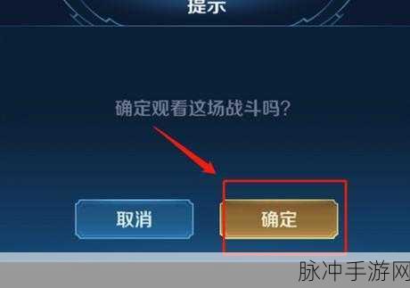 王者荣耀观战延迟深度解析,手游公司视角的攻略数据