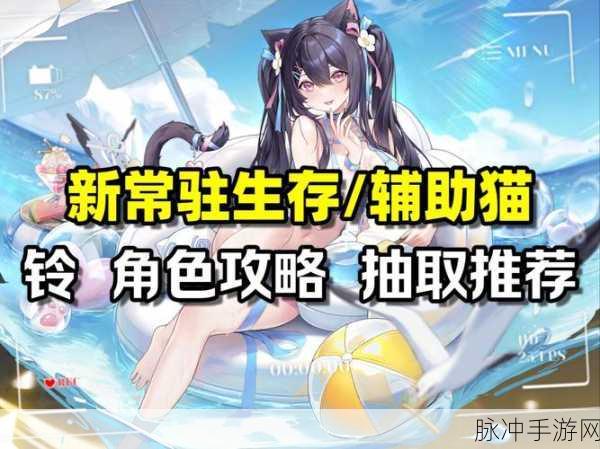 猫之城好感度提升全攻略,解锁角色深层魅力