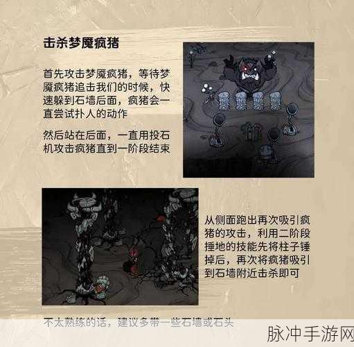 饥荒游戏攻略,揭秘龙鳞火炉获取方法,惊喜消息!新手也能轻松入手!