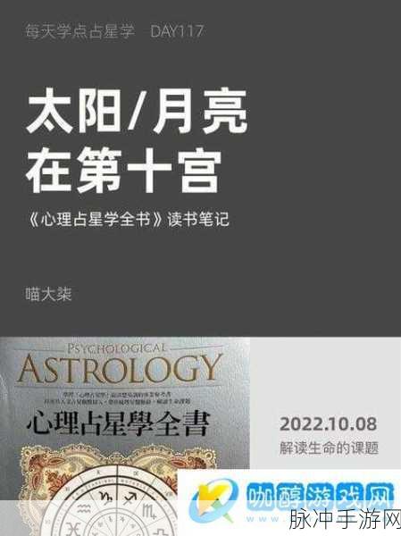 妄想山海游戏攻略,全面解析高效获取太阳铭文技巧与方法