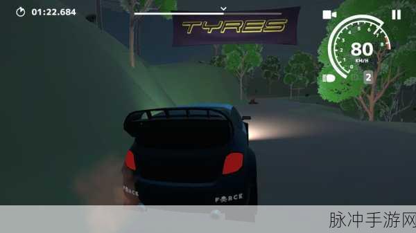 N3拉力赛手游，极速狂飙，挑战你的驾驶极限