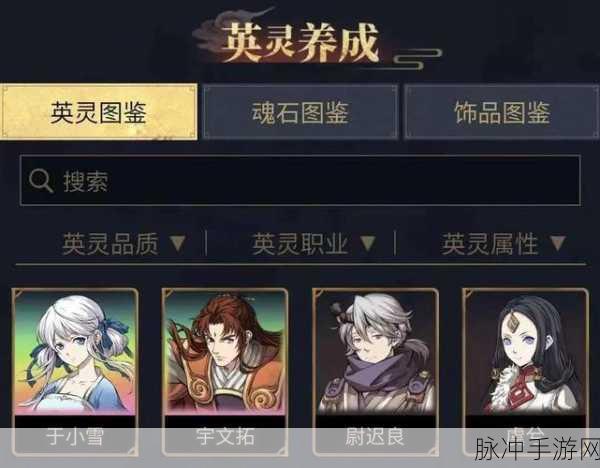 宇文拓天地劫,深入探索神秘游戏世界的终极攻略