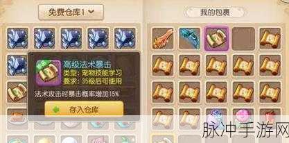 梦幻西游手游大唐官府宝石镶嵌指南，深度解析，战力飙升秘籍