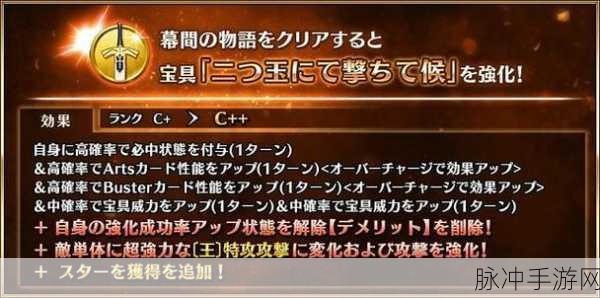 FGO深度攻略，马大宝具本效果全面汇总与战术解析