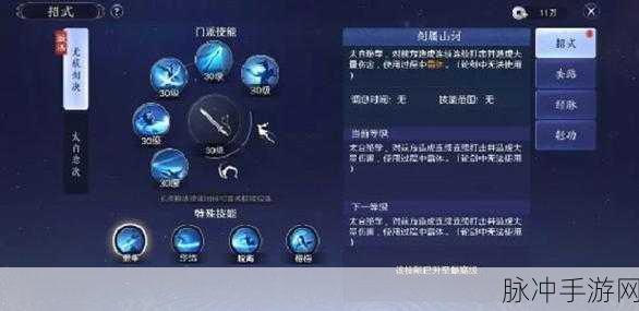 天涯明月刀手游真武太白角色深度解析与可玩性探讨
