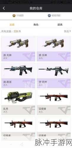 CF手游攻略，深入解析对讲机的实战应用与战略价值