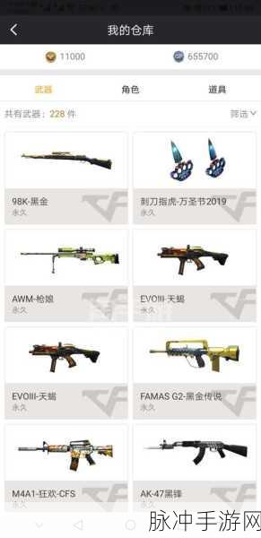 CF手游攻略,深入解析对讲机的实战应用与战略价值