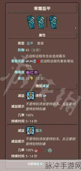 泰拉瑞亚冰霜套装，全面解析获取途径、属性效果及资源管理优化策略
