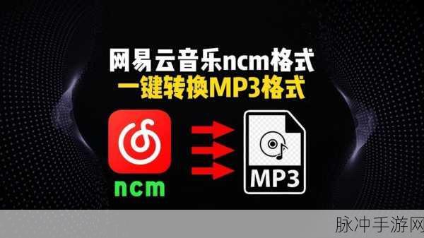 网易云音乐手游攻略,轻松掌握下载歌曲到U盘技巧