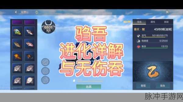 妄想山海,驺吾合成决策解析与策略建议深度剖析