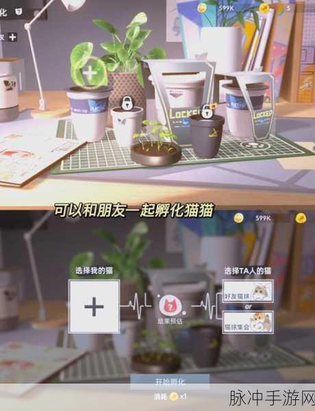幸福猫咪社,温馨治愈的猫咪养成之旅游戏下载全攻略
