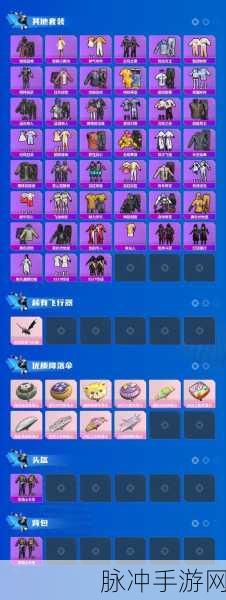 和平精英破壳小黄鸡,萌动战场的新宠全面解析