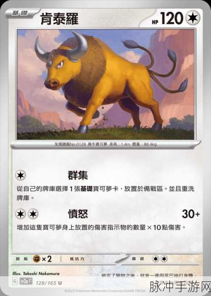 宝可梦大探险,肯泰罗的神秘之旅全攻略