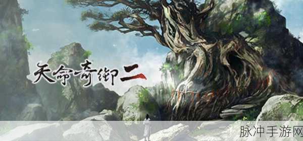 天命奇御2,深入剖析高官与刺客的交锋之道