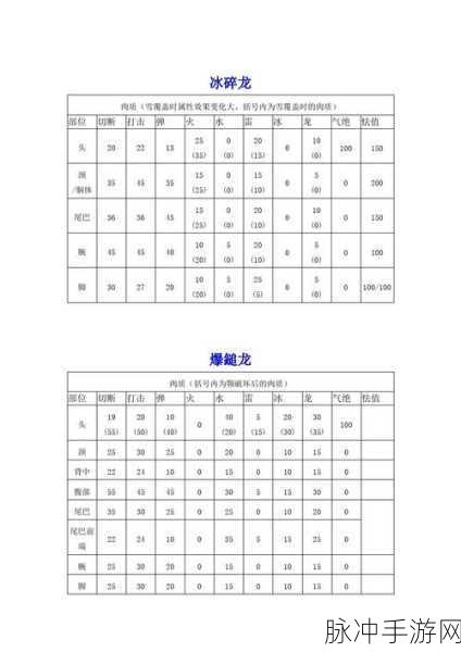 怪物猎人P3深度解析,防御力与耐性哪个更具优势