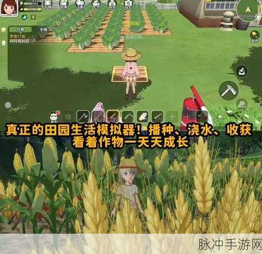 小森生活体验服游戏下载，探索好玩的田园角色扮演手游