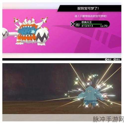 宝可梦剑盾稀有精灵分布全攻略